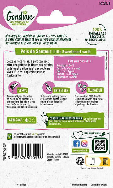 GONDIAN - Pois de Senteur Little Sweetheart - 25cm - large