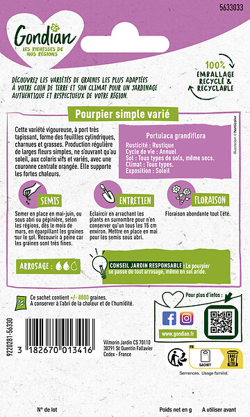 GONDIAN - Pourpier Simple Varié Gondian - large