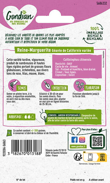 GONDIAN - Reine-Marguerite Géante de Californie Variée Gondian - large