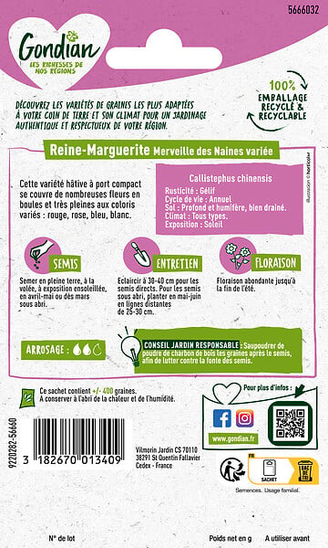 GONDIAN - Reine-Marguerite Merveille des Naines Variée Gondian - large