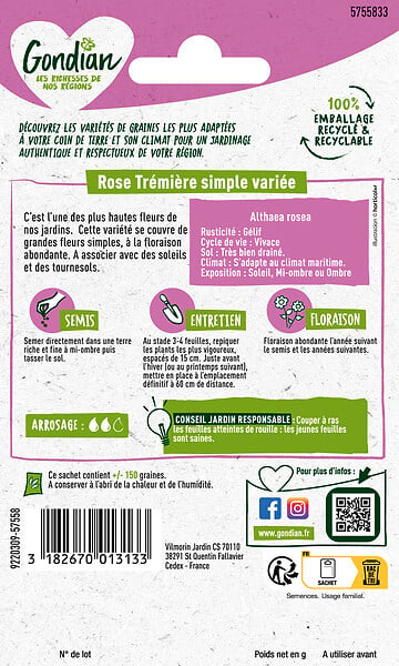 GONDIAN - Rose Trémière Simple Variée Gondian - large