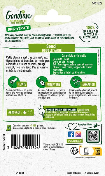 GONDIAN - Souci Pacific Beauty Varié - Fleurs doubles - 50cm - large