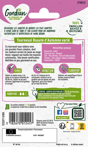 GONDIAN - Tournesol Beauté d'Automne - Graines - 0,5 kg - large