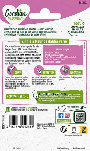 GONDIAN - Graines de Zinnia à Fleur de Dahlia écarlate - 12 à 15cm - large