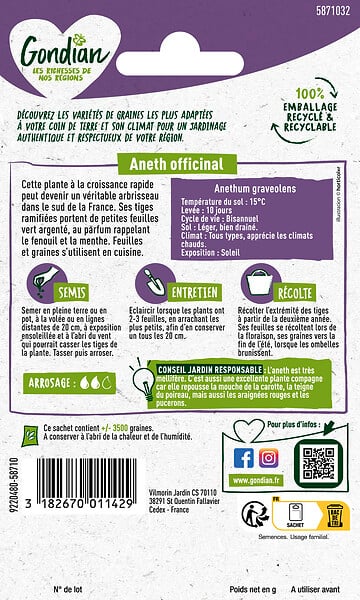 GONDIAN - Graines d'Aneth Officinal - plante aromatique - 70-80cm - large
