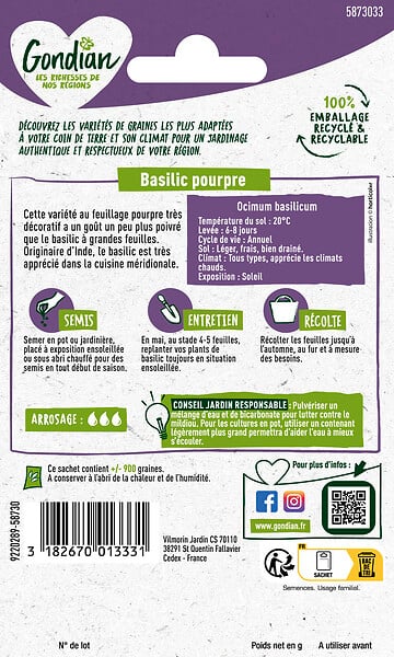 GONDIAN - Basilic Pourpre Gondian - large
