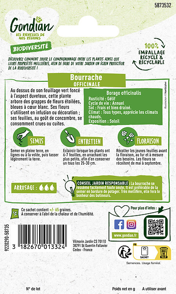 GONDIAN - Bourrache Officinale Gondian - large