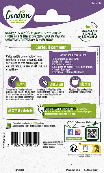 GONDIAN - Cerfeuil Commun Gondian - large