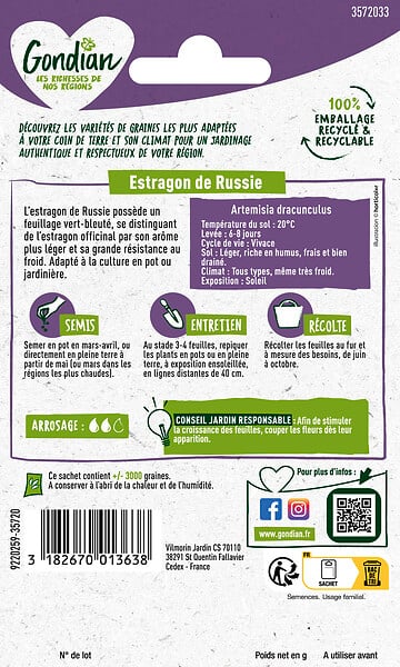 GONDIAN - Estragon de Russie - Plante aromatique - Résistant au froid - large