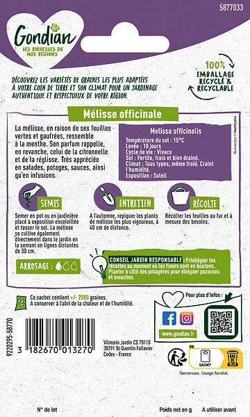GONDIAN - Mélisse Officinale Gondian - large