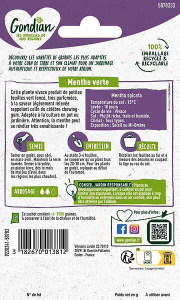 GONDIAN - Menthe Verte Gondian - large