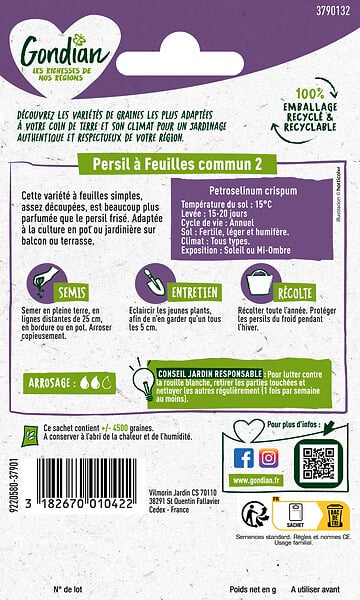 GONDIAN - Persil à feuilles Commun 2 - Graines - Culture en pot ou pleine terre - large