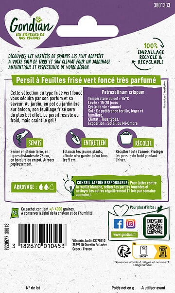 GONDIAN - Graines persil frisé Robust - Vert foncé - Variété parfumée - large