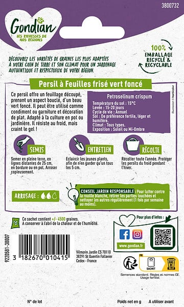 GONDIAN - Persil frisé vert foncé - Graines à semer - Sachet 0,5 kg - large