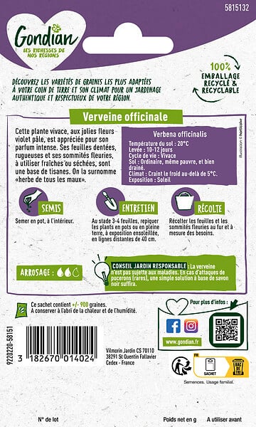 GONDIAN - Verveine Officinale - Vivace - Tisanes - 40-60cm - large