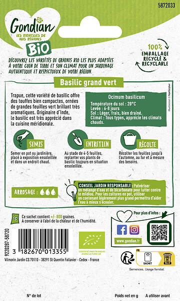 GONDIAN - Graines de Basilic Grand Vert Bio - Sachet - large