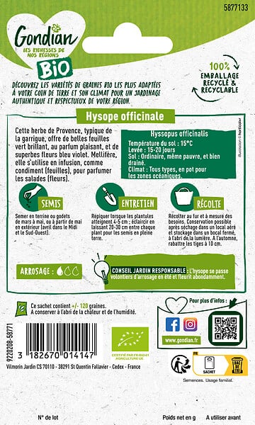 GONDIAN - Hysope Officinale Bio - Plante aromatique vivace - 0.15g - large