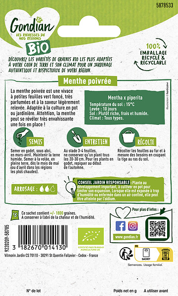 GONDIAN - Menthe Poivrée Bio - Graines - Plante vivace - large