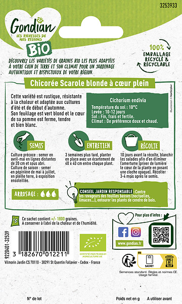 GONDIAN - Chicorée Blonde à Cœur Plein Bio - Légume - Variété rustique - large