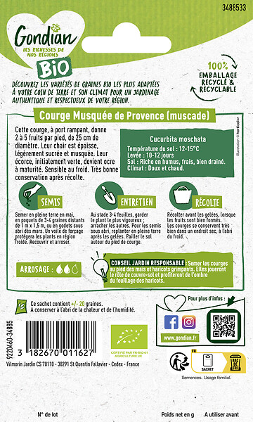 GONDIAN - Courge graine Muscade d Hiver de Provence Bio - large