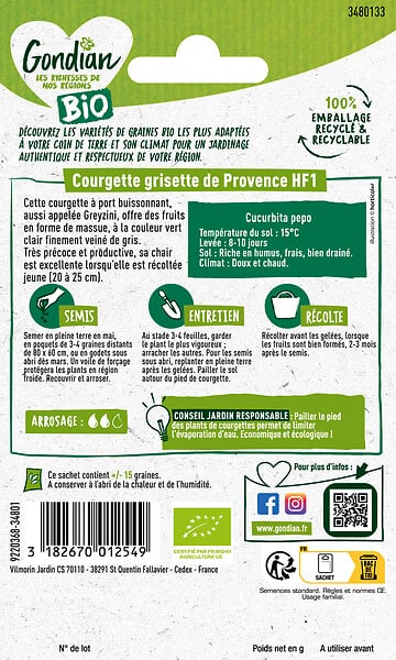 GONDIAN - Courgette Greyzini HF1 Bio Gondian - large