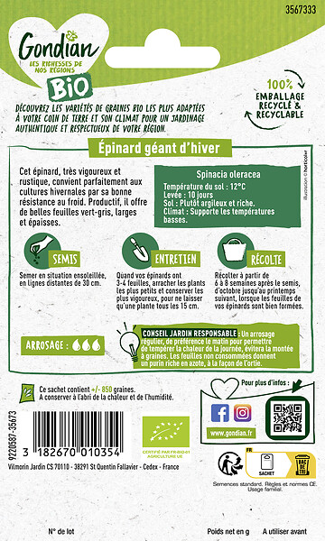 GONDIAN - Epinard Géant d'Hiver Bio Gondian - large
