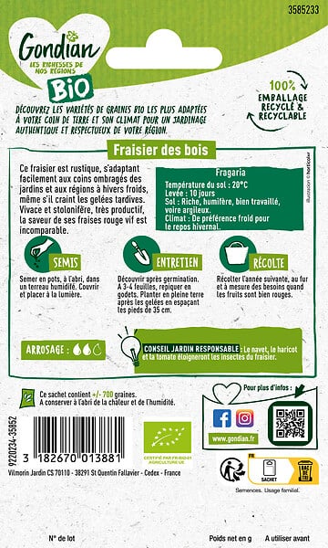 GONDIAN - Graines de Fraisier des Bois - Bio - Rustique - large