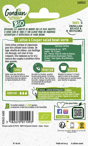GONDIAN - Laitue à couper Salad Bowl Verte Bio - Sachet de 3 g - large