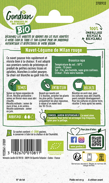 GONDIAN - Navet Milan Rouge Hâtif Bio - Racine blanche collet rouge - large