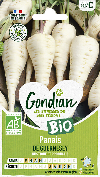 GONDIAN - Panais de Guernesey Bio - Légume racine - Variété rustique - large
