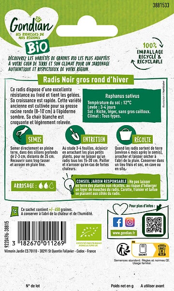 GONDIAN - Radis Noir Gros Rond d'Hiver Bio - Bio - Graines potagères - large