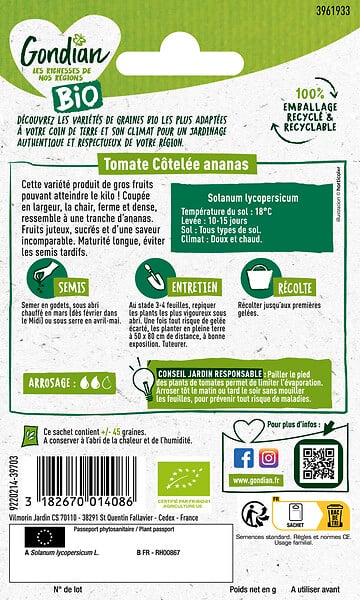 GONDIAN - Graines de tomate Ananas Bio - 0.15g - large