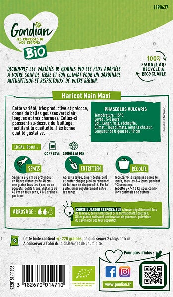 GONDIAN - Graines de haricot vert bio - Maxi Gondian - 50cm - large