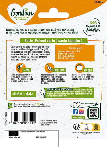 GONDIAN - Poirée - Bette Verte à Carde Blanche 3 Gondian - large
