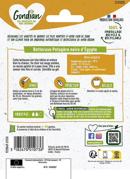 GONDIAN - Betterave potagère Noire Plate d'Egypte Gondian - large