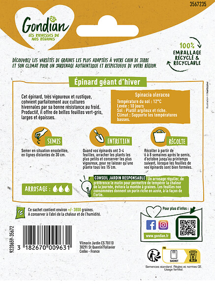 GONDIAN - Graines d'épinard Géant d'Hiver - Résistant au froid - large