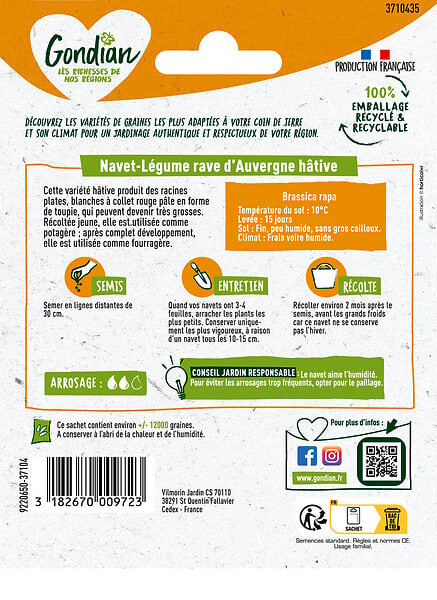 GONDIAN - Navet Rave d'Auvergne Hâtive - Graines - Variété précoce - large