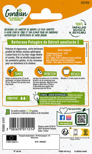 GONDIAN - Betterave potagère Détroit 2 - Précoce - Graines - large