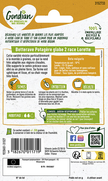 GONDIAN - Betterave potagère Globe 2 race Lorette - large