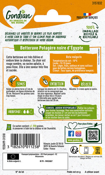GONDIAN - Betterave potagère Noire Plate d'Egypte - 5 g - large