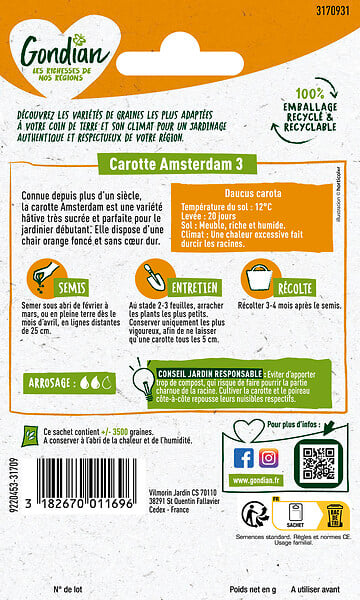 GONDIAN - Semences de carotte - Amsterdam Gondian - Variété hâtive - large