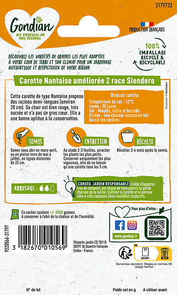 GONDIAN - Carotte Nantaise 2 race Slendero Gondian - large