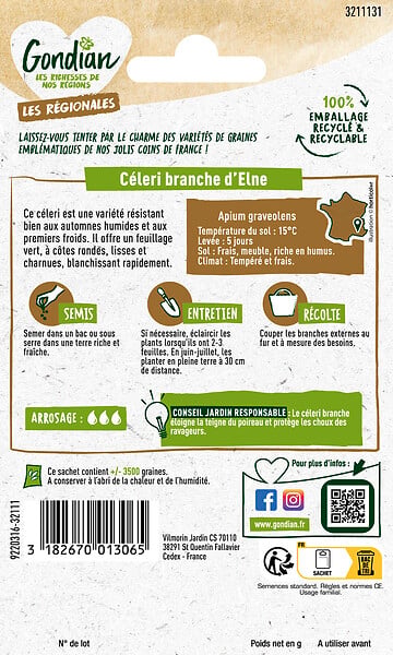 GONDIAN - Céleri Branche d'Elne Gondian - large