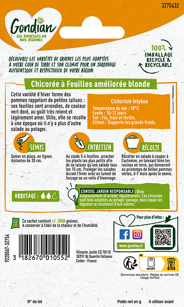GONDIAN - Chicorée Améliorée Blonde Gondian - large