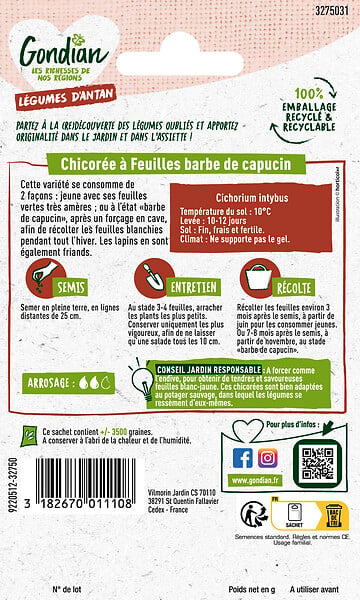 GONDIAN - Chicorée Sauvage Amère Barbe de Capucin - 0.5g - large