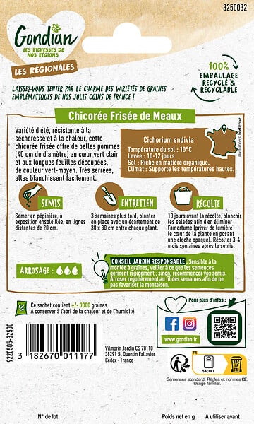 GONDIAN - Chicorée frisée - Variété d'été - Chicorée de Meaux - large