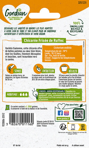 GONDIAN - Chicorée de Ruffec - Légume feuille - Variété d'automne - large