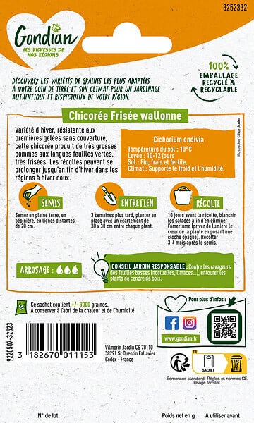 GONDIAN - Chicorée Wallonne Lorca - Graines - Résistante au gel - large
