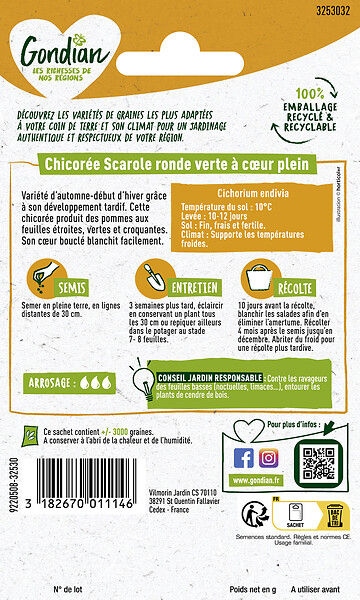 GONDIAN - Chicorée Ronde Verte à Coeur Plein Gondian - large