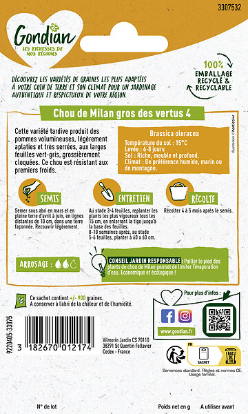 GONDIAN - Chou de Milan Gros des Vertus 4 Gondian - large